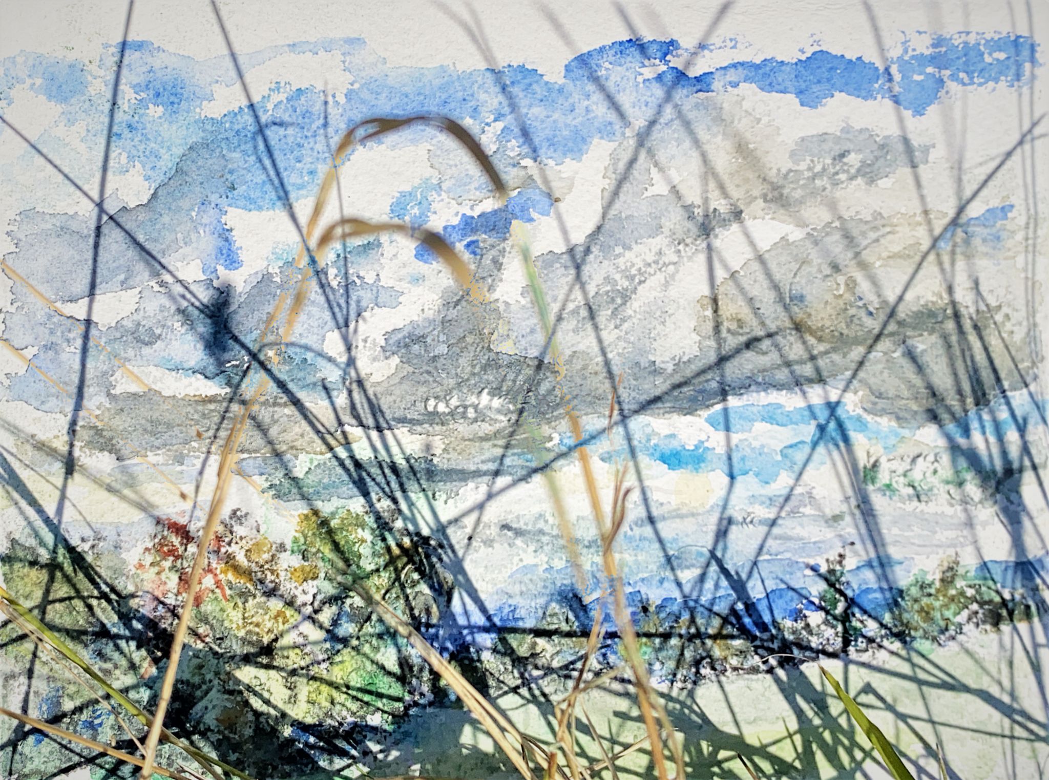 Gras mit Landschaftt gegen Norden